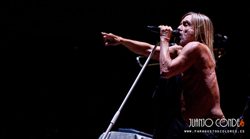 Iggy Pop, The Vaccines o Two Door Cinema Club encabezan el nuevo festival Latitudes en Vigo