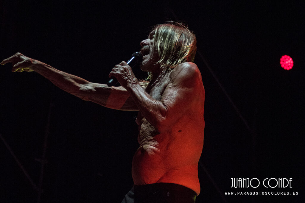 iggy_pop_latitudes_2022