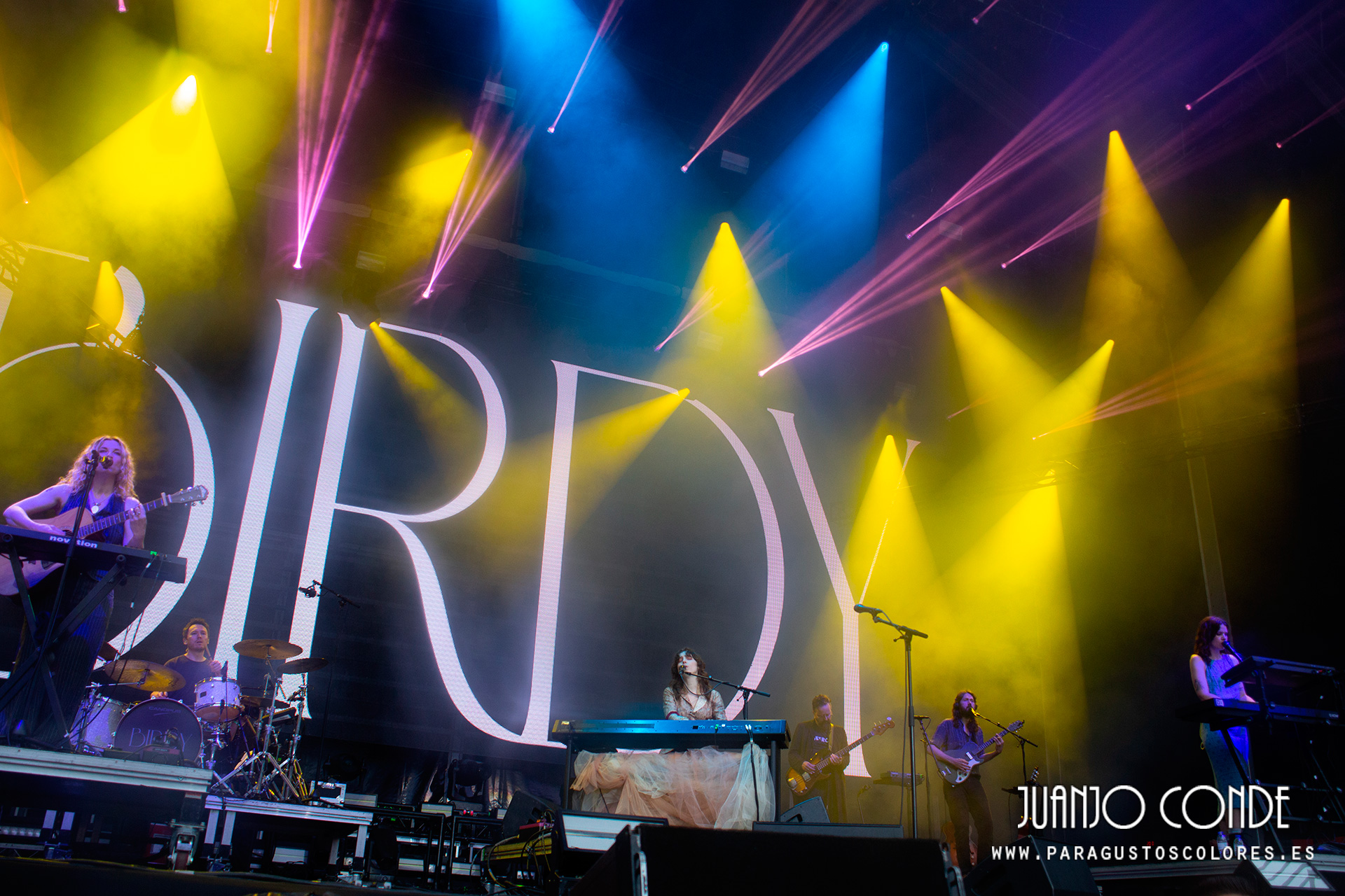 birdy_north-festival