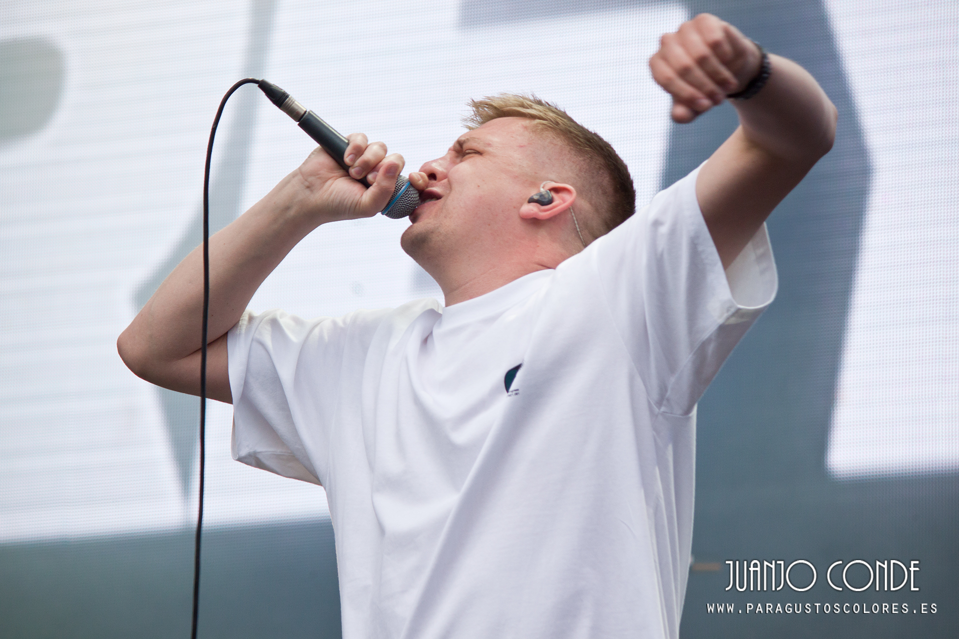 the reytons north festival